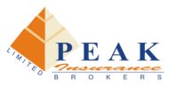 Peak Insurance Logo